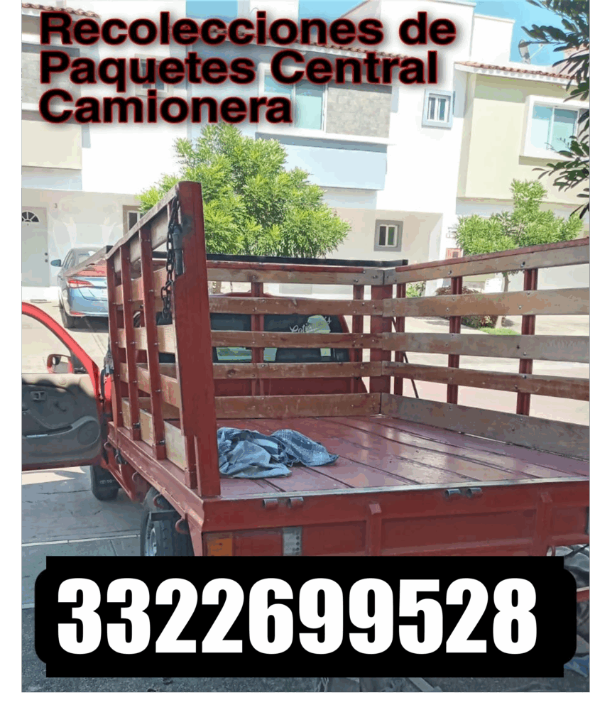 Recolección de Paquetes Central Camionera