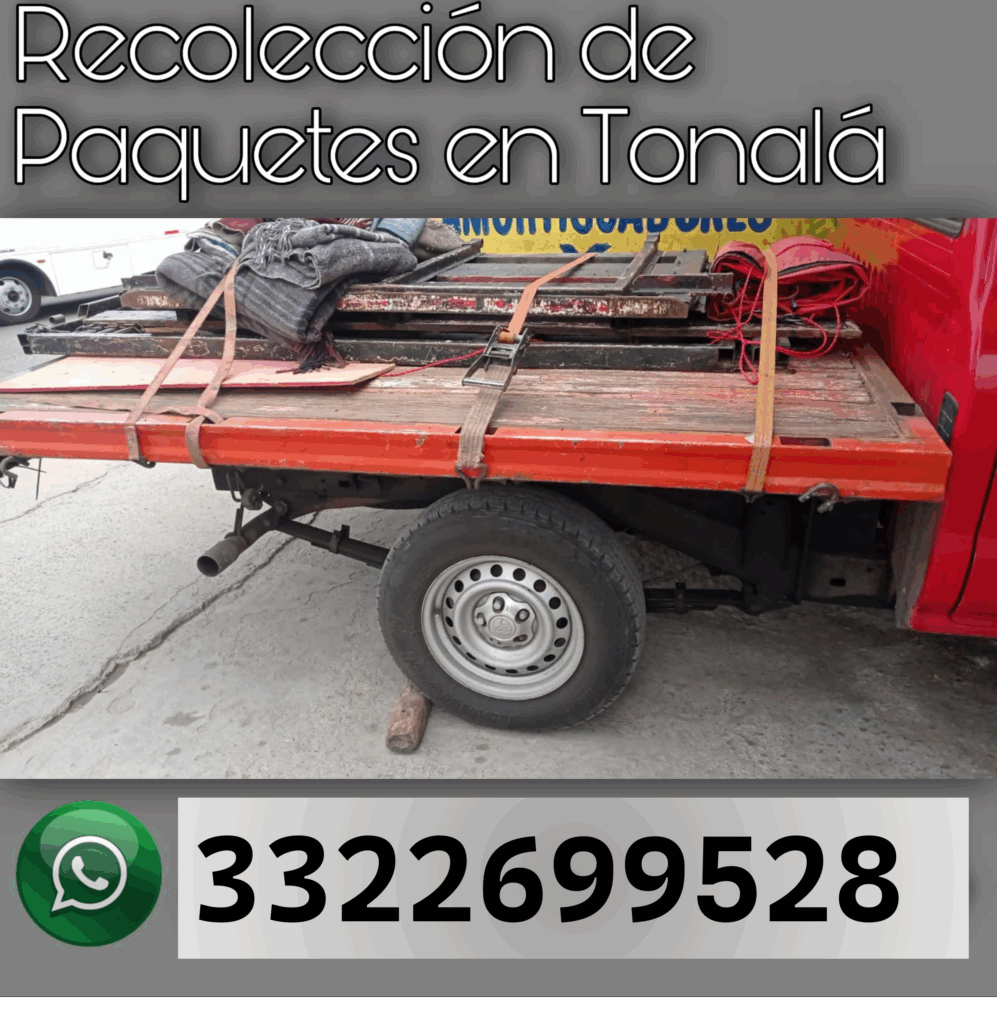 Recolección de Paquetes Tonalá