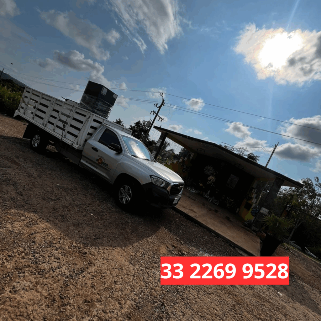 Fletes y Mudanzas 33 2269 9528