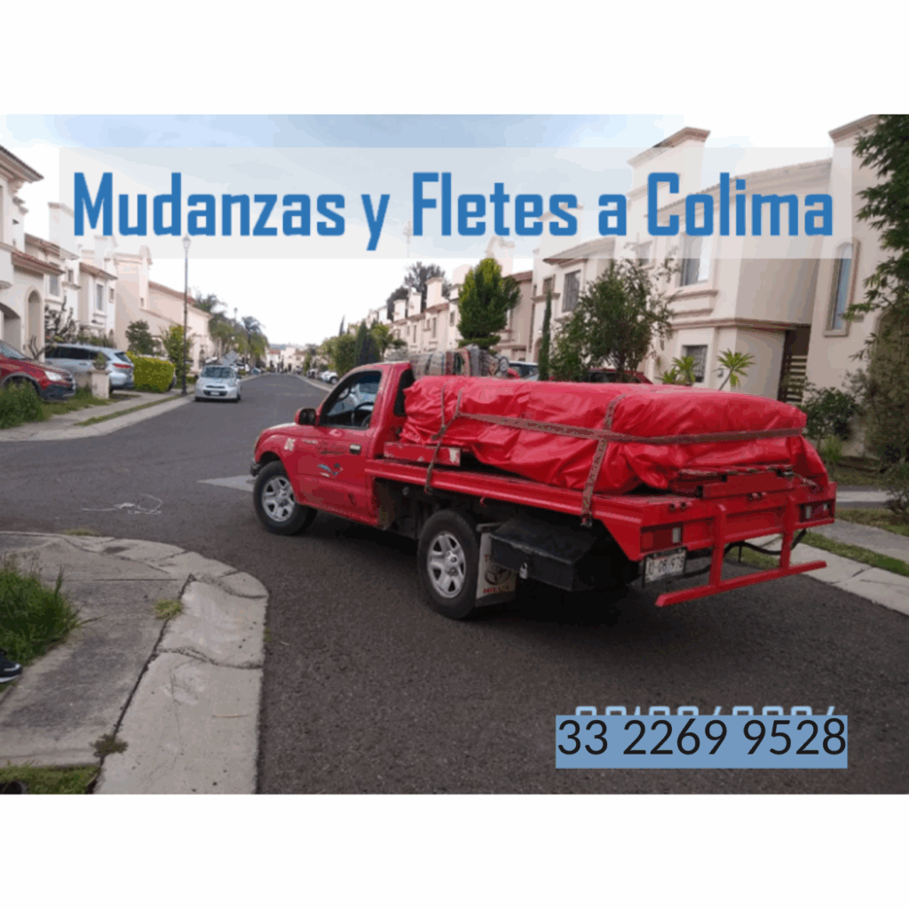 Mudanzas a Colima